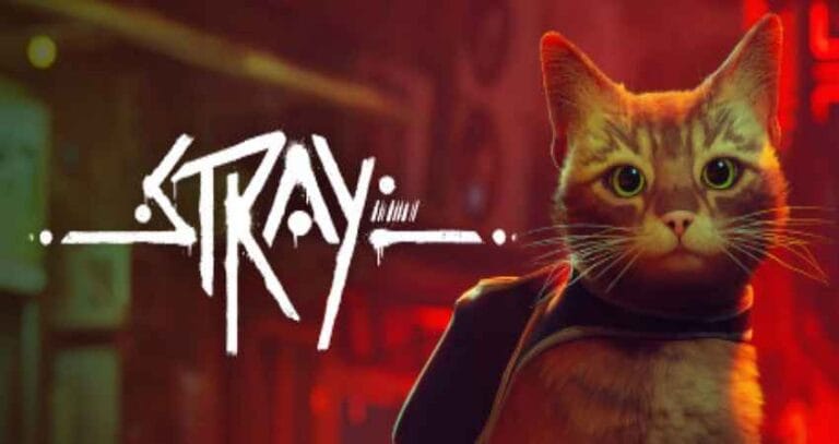 فيديو يتصور شكل لعبة Stray